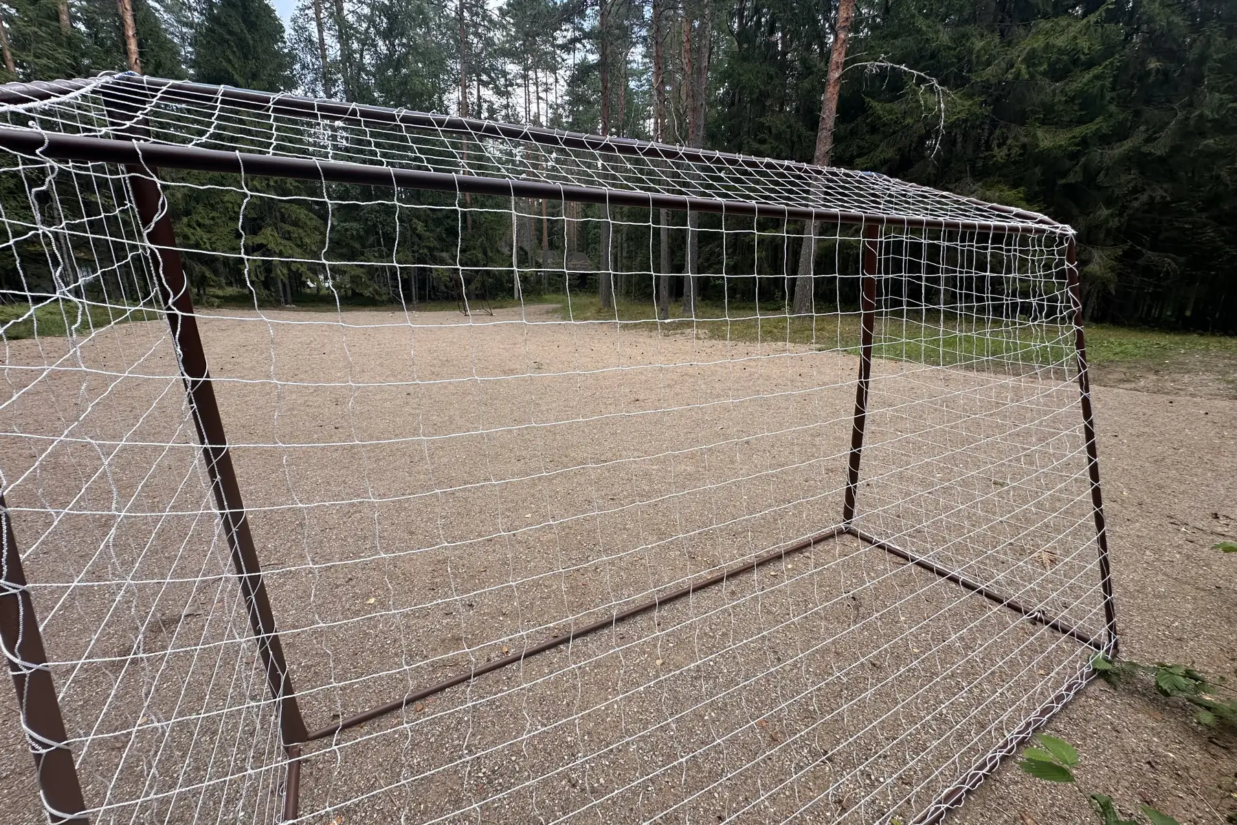 Спортивные площадки.